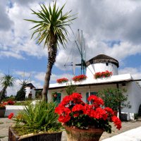 Wind- en Watermolenmuseum Gifhorn